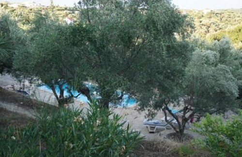Haus mit Pool im Olivenhain - Foto 4