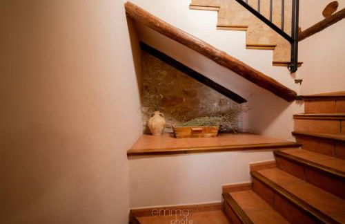 Mas de Salvador - Foto 17