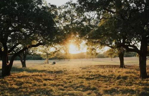 Relaxing Ranch Friendly Animals Modern Stay Cabin 1 - Foto 31
