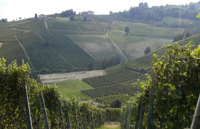 Studio in Bastia Mondovi With Pool and Winery - Foto 21