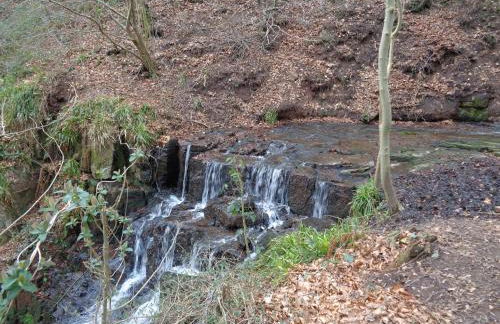 Foxes Reach - nrTintern Wye Valley hot tub EV - Foto 51