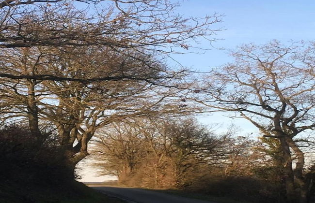 Cottage With Tennis Court - Foto 35