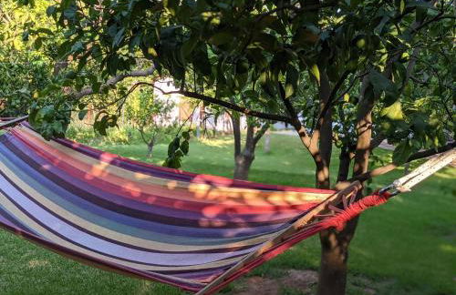 Le Jardin de Temeni - Foto 40