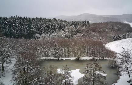 La petite ferme - Foto 21