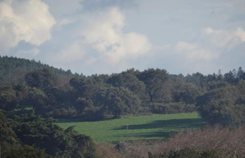 Alojamentos Casa Facha Menta - Foto 21
