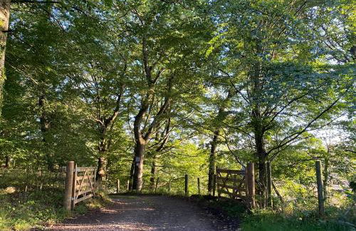 Spacious cottage - walk to Crieff - Photo 2