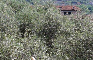 Grazioso monolocale - Foto 3