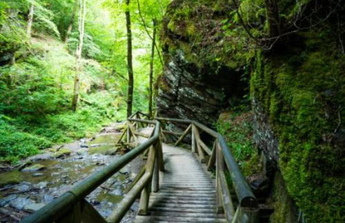 Moselburgblick - Foto 32