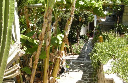 Alkioni Studios - Foto 38