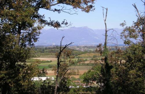 Agriturismo Dondino - Foto 47