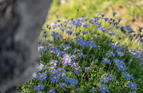 Alandroal Nature & Pool Retreat - Foto 8