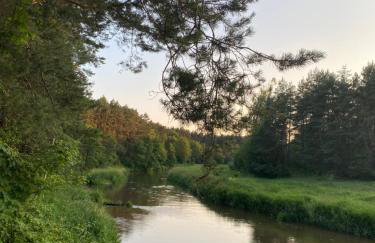 Przytulny domek w lesie blisko rzeki - Foto 24