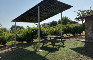 Casa Cabeço do Barragão - Photo 25