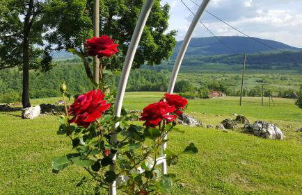 Double Paradise - Foto 65