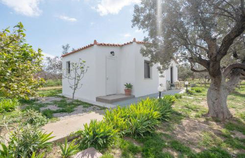 Cuckoos House - Foto 12