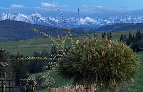 Osada Wichrówka - Foto 6