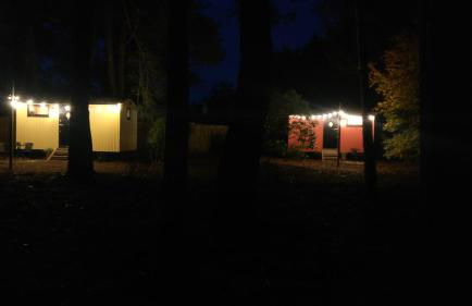 Forest Heath Shepherd's Huts - Foto 21