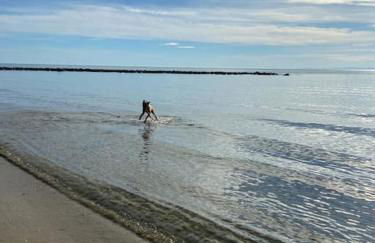 hébergement les pieds dans l'eau - Foto 1