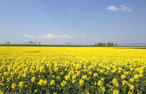 Ferienwohnungen In de goldisch Luft - Foto 79