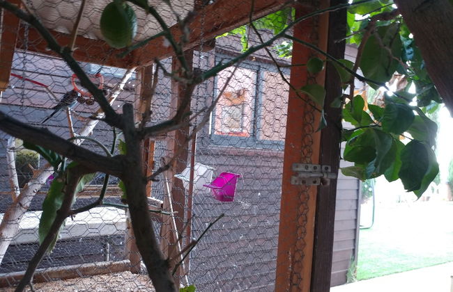 Assaf's Cabin - Foto 30