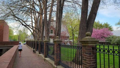 Robin's Egg, Private Downtown, Pet-Friendly Gem - Foto 3