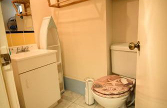 The Old Chemist - Foto 19