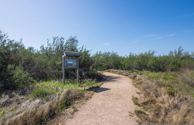 Unforgettable Vacation Getaway in Treasure Island - Foto 43