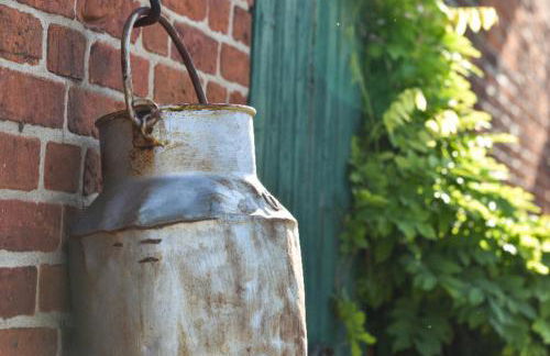 504 Stallgeflüster - Foto 32