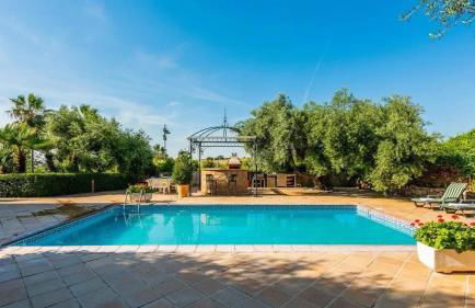 Spacious villa with private pool in Villamartin - Foto 15