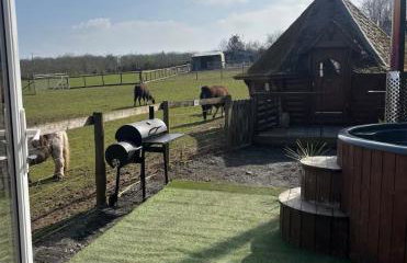 Bridie -rose with wood tub country retreat mini zoo - Foto 2