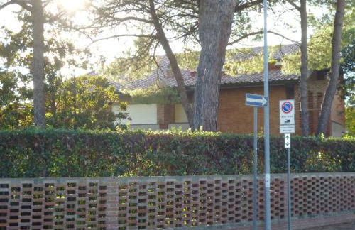 il geranio - Foto 39