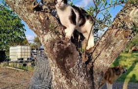 Terras do Salvado Agroturismo - Photo 12