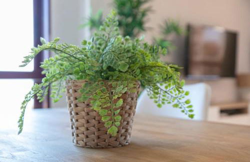 AG SALINAS - Foto 45