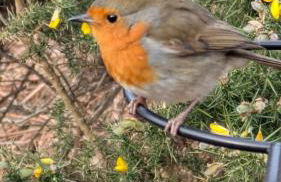 Herons Rest Pod By The Sea - Foto 56