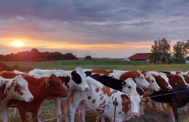 Camp Warmia - Foto 47