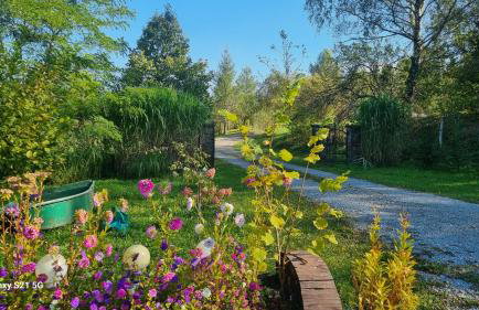 Pod Smerekiem - Photo 18