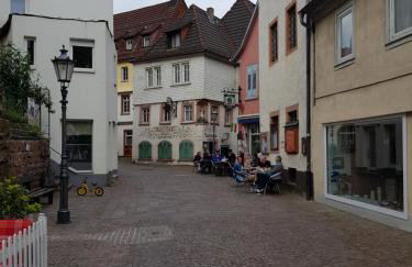 Zauberhafte Wohnung in der Nähe von Heidelberg, top Lage - Foto 42