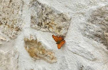 Rafeio Roustic Maisonette - Photo 35