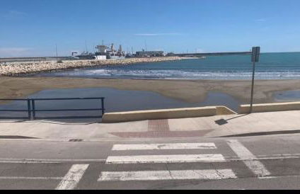 Vinaros Mar de Plata - Foto 3