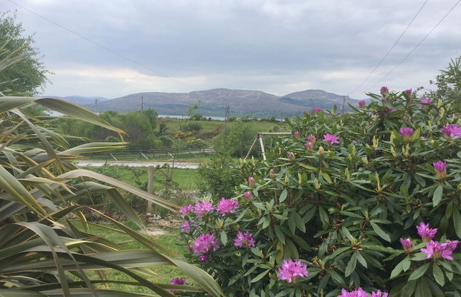 3 Bedroom Home 15 Mins Drive From Kenmare Town - Foto 15