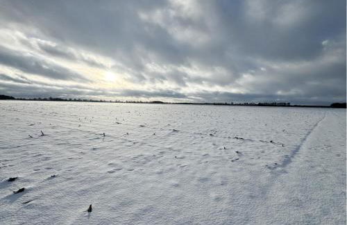 Ferienhaus Landruhe - Foto 36