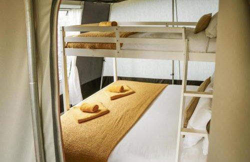 King Fisher - Foto 21