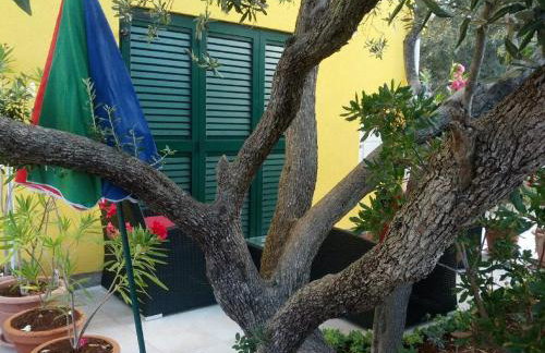 Sunset apartmani - Foto 21