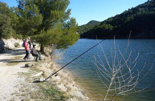 Le Rieufroid - Foto 51