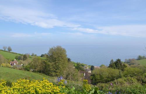 Chestnut - 28866 - Foto 16