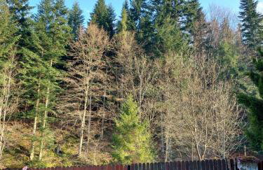 Rodzinny Dom Wypoczynkowy - Foto 12