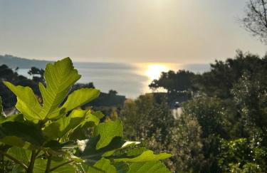 Limonaia in Salento - Foto 19