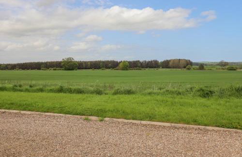 The Mustard Pot - Foto 28