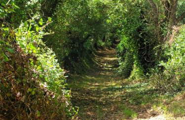 Gite du haut Brésil - Photo 21