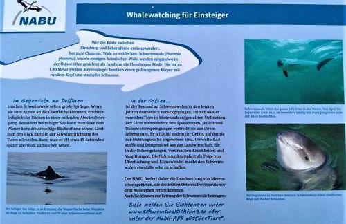 Lykkelig Ferie - Foto 25